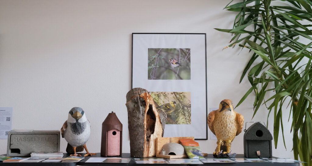Zu sehen sind verschiedene Nistkästen aus Holz und Beton sowie zwei Vogelfiguren aus Pappmaché 